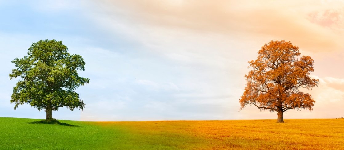 Come affrontare il cambio stagione senza perdere energia