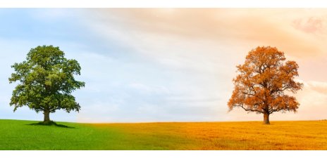 Come affrontare il cambio stagione senza perdere energia