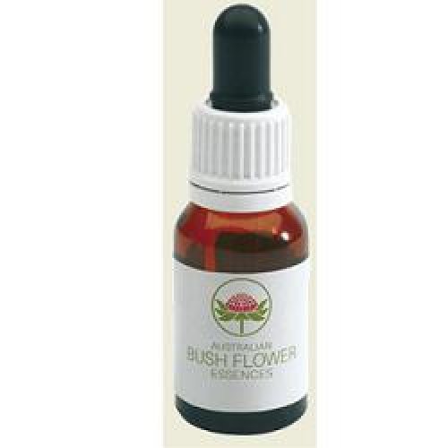 FLANNEL FLOWER AUSTRALIAN 15ML FLANNEL FLOWER AUSTRALIAN 15ML