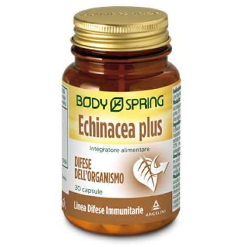 BODY SPRING ECHINACEA P 30CPS