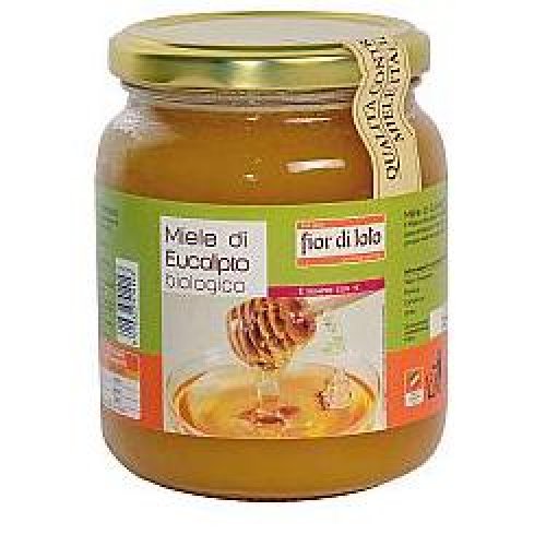 FdL Miele Eucalipto 500g