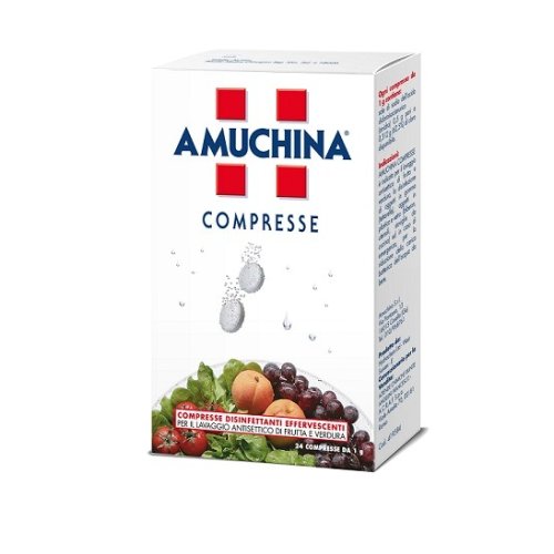 AMUCHINA-24CPR 1G AMUCHINA-24CPR 1G