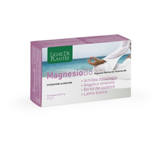 MAGNESIO B6+ACHILLEA+ANGELICA+ MAGNESIO B6+ACHILLEA+ANGELICA+