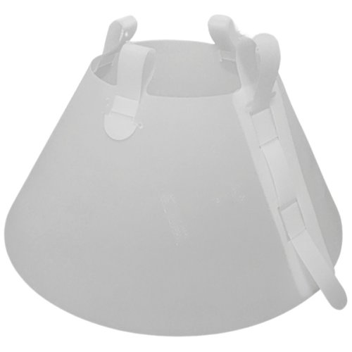 FOQUS CLASS COLL.ELISAB.35CM FOQUS CLASS COLL.ELISAB.35CM