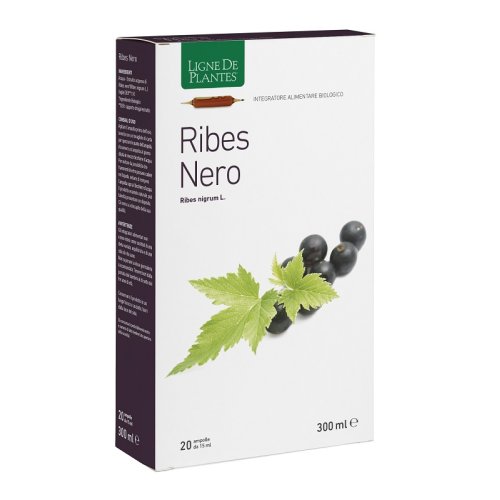 RIBES NERO BIO 20AB 15ML