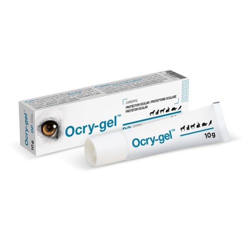 OCRY GEL 10G OCRY GEL 10G
