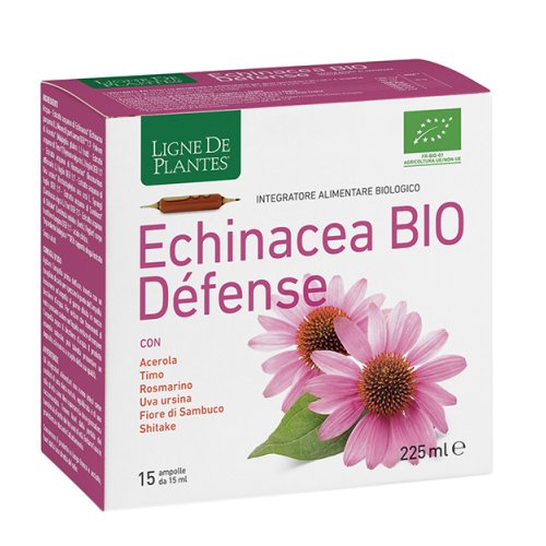 ECHINACEA BIO DEFENSE 15AMP 15