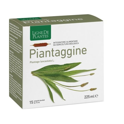 PIANTAGGINE 15AMP 15ML NATURA