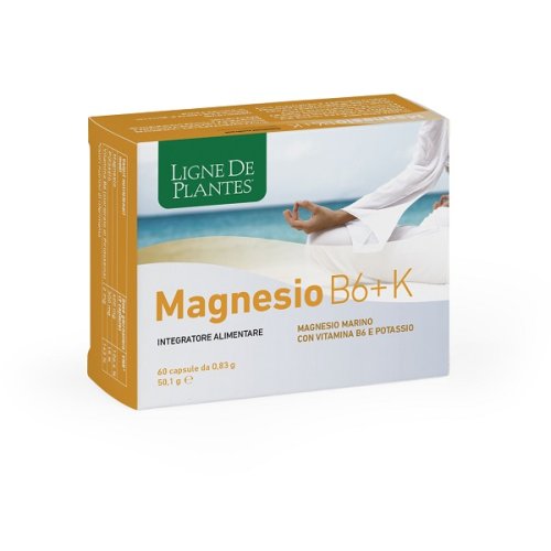 MAGNESIO B6 + K 60CPS MAGNESIO B6 + K 60CPS