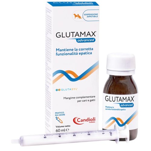 GLUTAMAX Advanced Sosp.60ml GLUTAMAX Advanced Sosp.60ml