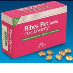 Ribes Pet Recovery complemento alimentare cani e gatti 60 perle