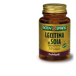 Lecitina-Soja 100 Cps Bsp